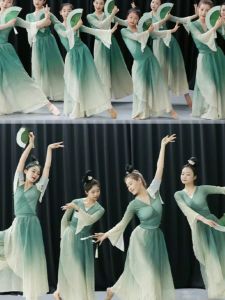 Classical Dance Practice Clothes Suit Female Elegant Fairy Body Charm Gauze Clothes National Style Chinese Classic Dance Spring Mountain Dance Costume