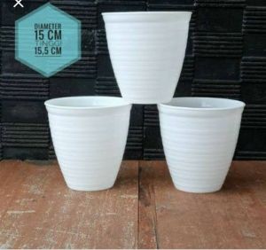 12 picis Pot tirus  putih 15 cm/pot pirus 15 cm
