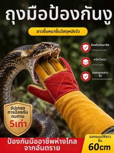 TAODUN | Snake Bite and Cat Scratch Resistant Gloves Animal Use