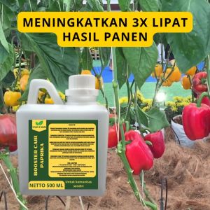 Pupuk Pelebat Paprika: Panduan Lengkap untuk Hasil Maksimal
