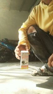 Chlorferan Chuyên Diệt Sâu Hoat Chất Chlorfenapyl 240SC Chai 60ml Và Hổ Lửa Gói 5g : Sâu Cuốn Lá Sâu đục Thân Kháng Thuốc.