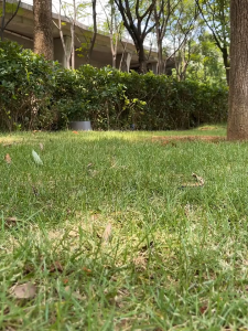 EOSM อุปกรณ์เสริมเต็นท์ สมอบกเหล็กหล่อ สมอบกเต็นท์ ชุดสมอบกเต้นท์ สมอกางเต็นท์ tent pegs แค้มป์ปิ้ง อุปกรณ์แคมป์ปิ้ง แข็งแรงทนทาน