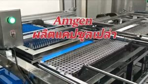 แคปซูลเปล่า HPMC สีขาวใส เบอร์ 0 500-600 มก ทำจากพืชไม่มีส่วนผสมจากเนื้อสัตว์ 1ห่อ บรรจุ 1000 แคปซูล #แคปซูลเปล่า #แคปซูลพืช #แคปซูลผัก #แคปซูลHPMC #Vegen #ทานอาหารเจ #กินเจ #แคปซูลสำหรับคนทานเจ  #แคปซูลสำหรับคนกินเจ