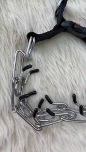 How to Choose & Use Pinch Collars for Dogs