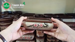 Pot Bonsai Keramik Mame Unik