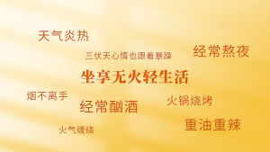 [SG READY STOCK] Chrysanthemum and Wolfberry Tea (60g/30PCS) 菊花枸杞茶 量贩装组合茶金丝皇菊红枸杞子菊花茶