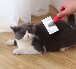 Pet Dog Comb Cat Comb Dog Hair Brush Dog Hair Comb Golden Retriever Teddy Medium and Large Dog Bichon Supplies Dog Comb Needle Comb Cat Grooming Comb