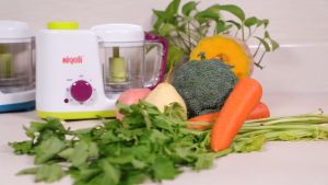 Aigoli Baby Food Processor Miyako Air Fryer Price In Bangladesh - Lazada