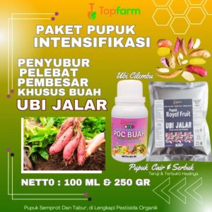 Pupuk Pembesar Ubi Jalar / Pupuk Ubi Jalar Jumbo / Pupuk Pelebat Buah Ubi Jalar / Pupuk Ubi Jalar / Pupuk Pembesar Buah Ubi Jalar
