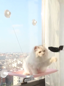 cute hanging cat window seat soft perch for kitten sleep sunbathe enjoy scenery