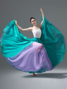 Váy Khiêu Vũ Cổ Điển 720 Độ Quay Lớn Váy Nửa Thân Biểu Diễn Khiêu Vũ Hiện Đại Quần Áo Sân Khấu Màu Đen Trăng Tròn Đầm Mùa Thu