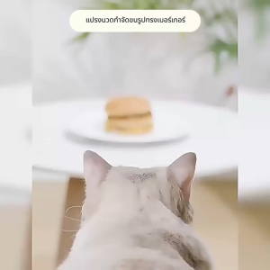 หวีสุนัขหวีแปรงขนสัตว์เลี้ยง หมา แมว แปรงขนแมว หวีแมว หวีสุนัข แปรงหวีสัตว์เลี้ยง แบบหมุด หวีแปรงขนสัตว์เลี้ยง หวีขนแมว