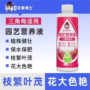 Bougainvillea Nutrient Solution: Promoting Blooming for Home Use Flower Cultivation