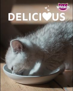 [Value Pack (12 Packs) / 2 Flavor] Whiskas Wet Food Multipack For Kitten Tuna / Mackerel 80g