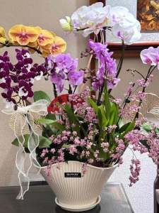 Jingdezhen Ceramic Butterfly Orchid Planter Indoor Creative Fan Shape Special Purpose Porous Luxury Matte Flower Vase Home Use