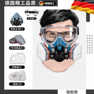 Organic Vapor and Toxic Gas Protection Mask