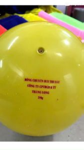 01 quả Bóng chuyền hơi thi đấu 250g