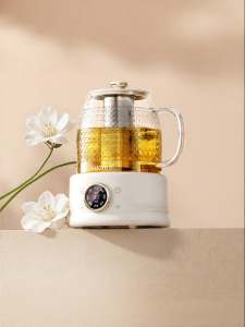 GDANNY | Multi-purpose Herbal Tea and Water Pot