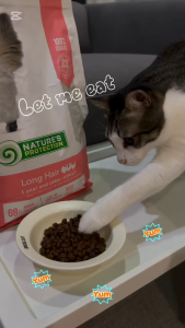 "Long Hair" (18KG) · Poultry | Adult Cat Food [Super Premium Series] *Natures Protection