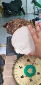 Củ Bạc Hà núi Chuẩn hàng đào núi (Núi Cấm Linh Thiêng trị ung thư)5kg tặng 1kg