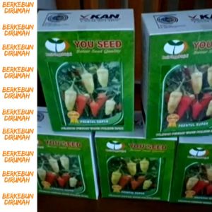 Benih Cabe Rawit PRENTUL SUPER untuk Berkebun di Rumah