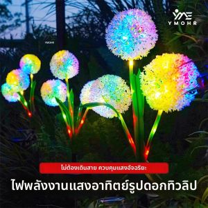 ไฟคริสต์มาส โซลาร์เซลล์ กลางแจ้ง ลูกบอลหญ้า ต้นแดนดิไลอัน ดอกไม้ firework กันน้ำ LED สำหรับแต่งสวนและลานหญ้า