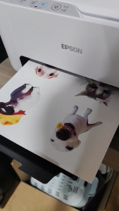 แพ็คคุ้มค่าพลาสติกหด A4 หลากสี 5 แผ่น พร้อมส่ง ใช้สำหรับบรรจุภัณฑ์และการป้องกันสินค้า