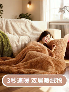 Thickened Double Layer Lamb Velvet Blanket Warm Winter Autumn Sofa Single Person Use Small Blanket Super Thick Cover Blanket
