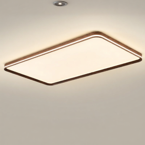MEIYUANSU | Retro Modern Minimalist Ceiling Lamp