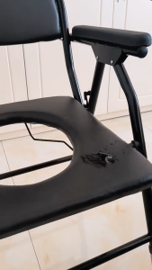 Commode toilet chair Deodorant Toilet Elderly toilet chair for disabled patients Pregnant Woman Household Toilet Mobile Toilet Stool Removable Elderly Toilet Commode Chair Toilet For Adult