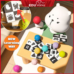 Early Learning Baby Montessori Sensory Toys Ball with Cognitive Matching Flash Cards Educational Toys for Toddler 1 2 Years Old
