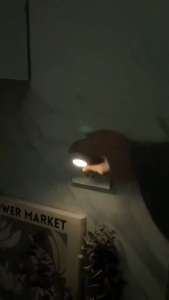 Led Control Sensor Light Plug-in Remote Control Night Light Bedside Lamp Baby Bedroom