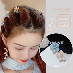 Mini Flower Set Small Hair Clips Side Bangs Clip Japanese and South Korean Style Grip Hair Accessories for Women