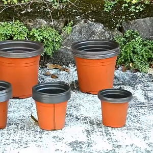 50/100 pack of two-color succulent seedling plastic seedling pots root control plant pots