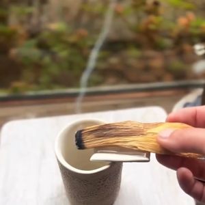 WHL 圣木香囊 清除负能量 圣木 秘鲁圣木 聖木条 Palo Santo Incense Bag Spiritual Incense Cones Meditation & Spiritual Purification Smudge