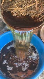 Cao ích mẫu nguyên chất nấu thủ công theo công thức gia truyền từ 100% cây ích mẫu tươi và khô cao ích mẫu nước điều kinh tiêu thuỷ giảm đau bụng kinh