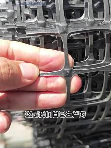 Outdoor Protective Poultry Plastic Fence Mesh