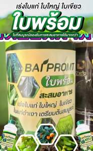 บล็อคยอด หยุดยอด แก้วิกฤติใบอ่อน เอาดอก เอาลูกอยู่!! ด้วยใบพร้อม โปร 2 แถม 1 กดยอดอ่อน เตรียมพร้อมสำหรับออกดอก