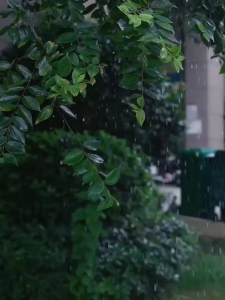 Bọc Giày Đi Mưa Cao Cấp Hai Hàng Nút – Giữ Giày Khô Sạch Chống Nước Gấp Gọn Dễ Mang Thời Trang