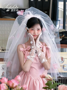 Hoa Hồng Mũ Trụ Cô Dâu Đám Cưới Buổi Sáng Áo Choàng Ảnh Chống Đỡ Dễ Thương Lông Tơ Vải Tuyn Lễ Đăng Ký Mạng Che Mặt Phụ Kiện Nhỏ