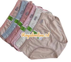 CELANA DALAM WANITA SILVER / CD PEREMPUAN SILVER