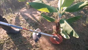 จานเซฟตี้ 9 นิ้ว หัวเกียร์ 1 มีดสำรอง ประกอบเสร็จ