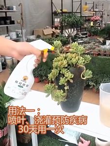 【50g/ 100g/ 400g】Fungicide Mancozeb 国光多菌灵 Racun Kulat Plant Fungicide 家居盆栽花卉植物 For Succulent Flower Foliage plants