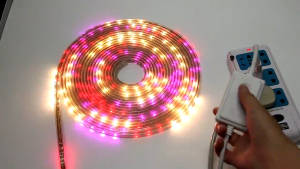 1-100 Meters LED Strip Light W/ EU Plug SMD2835 RGB Waterproof 220V 48 LEDs/ M Flexible LED Strip Outdoor LED Lamp Six-Segment Colorful Light