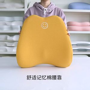 Lumbar Support Pillow for Office Chair Car Lumbar Pillow Back Pain Relief Memory Foam Back Cushion Ergonomic Orthopedic Back Rest