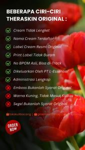 Paket Bopeng / Jerawat Bumil for Oily (Prima) Theraskin Original