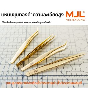 BEAUTY KING DRAGON MJL | Gold Precision Stainless Steel Tweezers