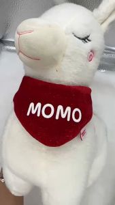 DA HONG 🧧🪭Bandana ผ้าพันคอตรุษจีน ผ้าพันคอสัตว์เลี้ยง สุนัข หมา แมว Chinese Collection