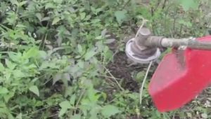 110x15mm Aluminum Grass Trimmer Head with 4 Nylon Lines for Brush Cutter Strimmer Replacement