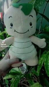 Gấu bông rùa may mắn 🐢🐢🐢